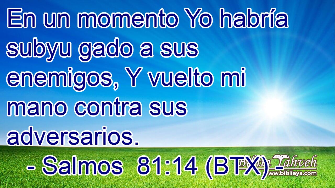 En un momento Yo habría subyu gado a sus enemigos, Y vuelto mi mano contra sus adversarios.