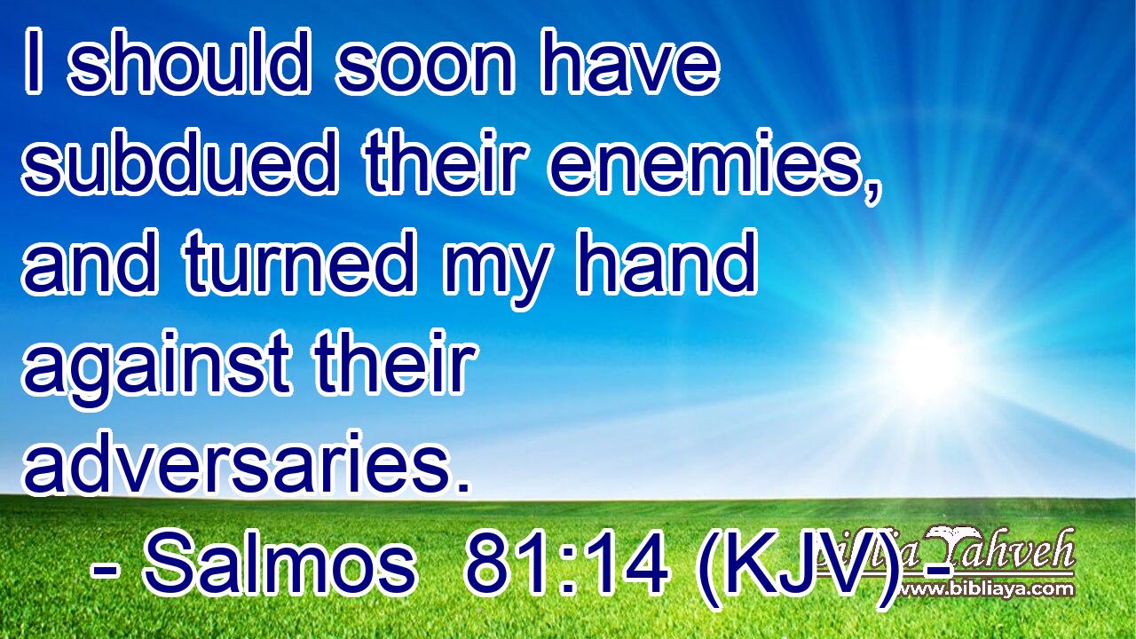 I should soon have subdued their enemies, and turned my hand against their adversaries.