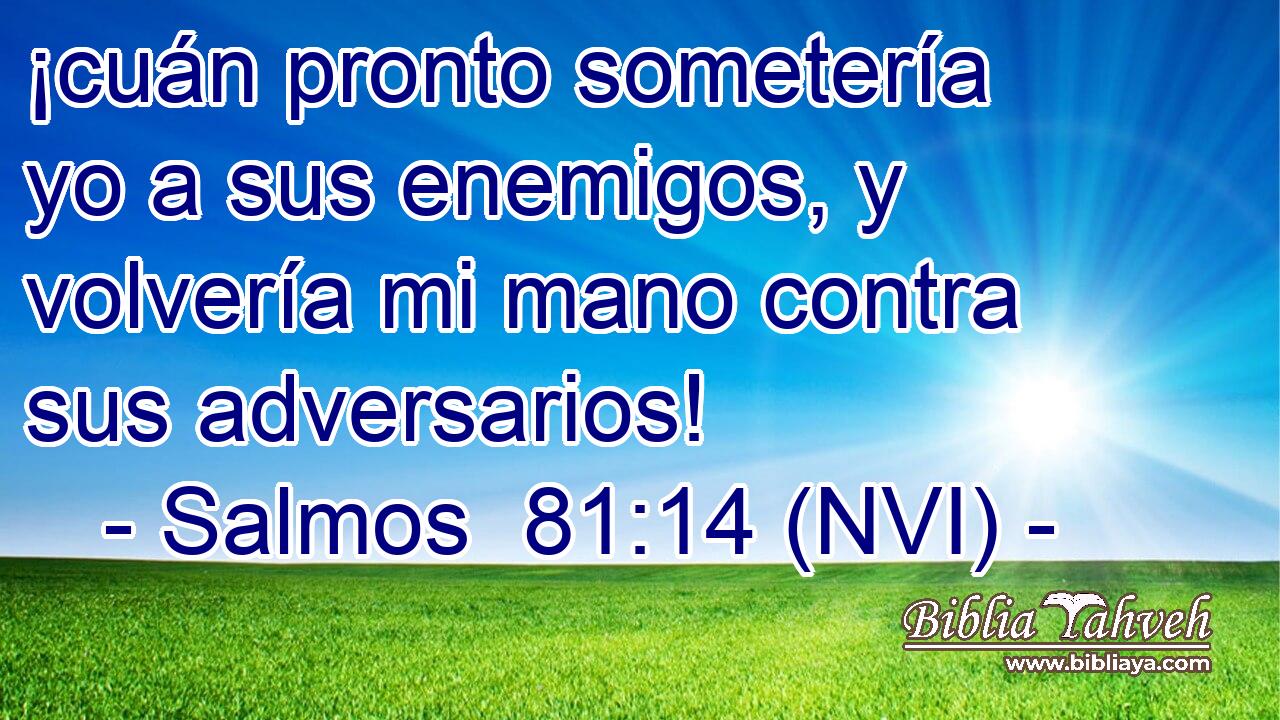  ¡cuán pronto sometería yo a sus enemigos, y volvería mi mano contra sus adversarios! 