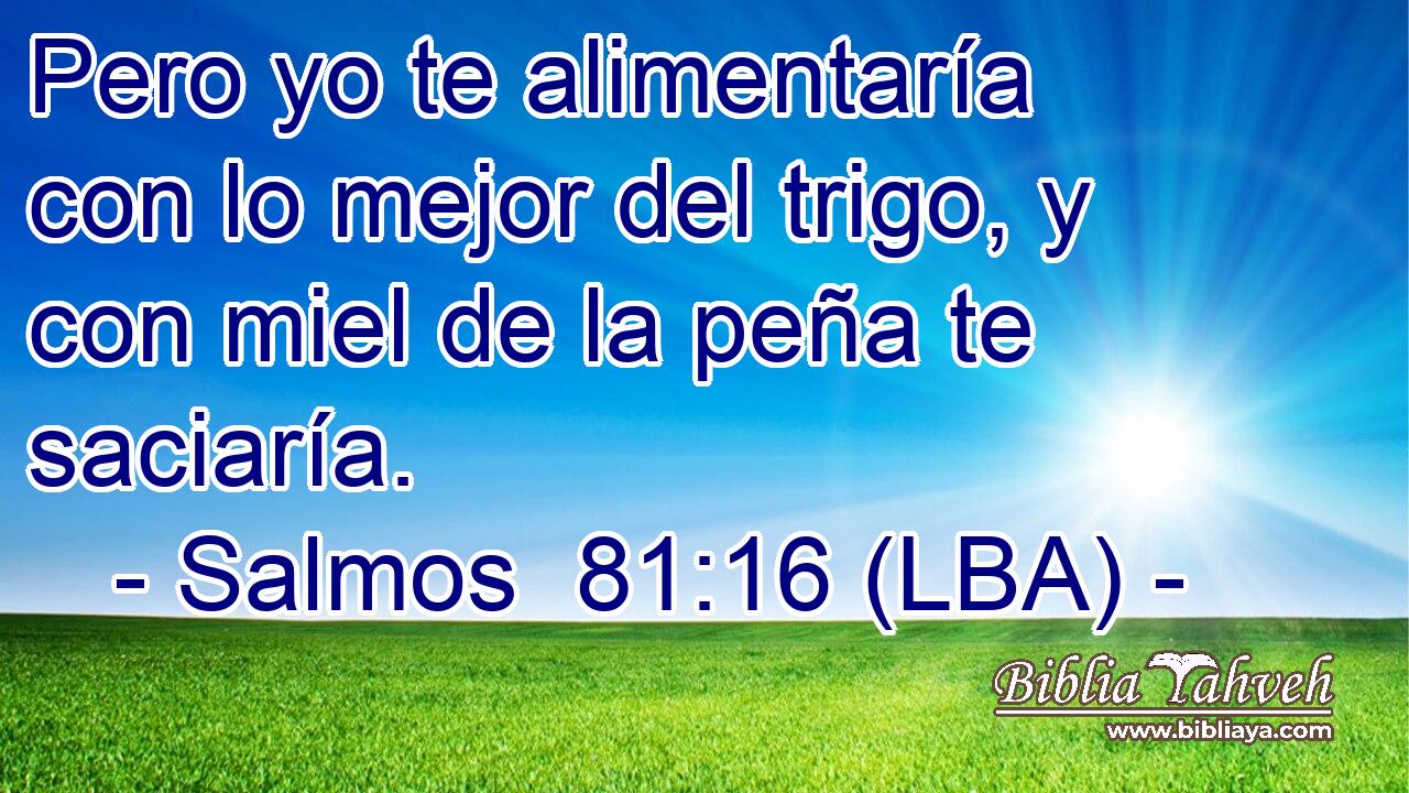 Pero yo te alimentaría con lo mejor del trigo, y con miel de la peña te saciaría.