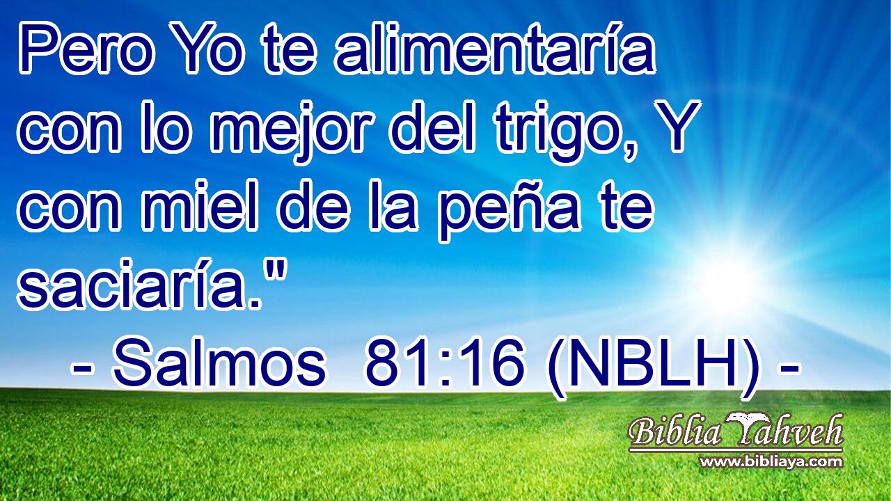  Pero Yo te alimentaría con lo mejor del trigo, Y con miel de la peña te saciaría.