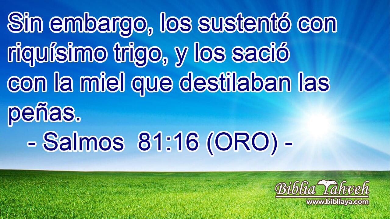  Sin embargo, los sustentó con riquísimo trigo, y los sació con la miel que destilaban las peñas. 