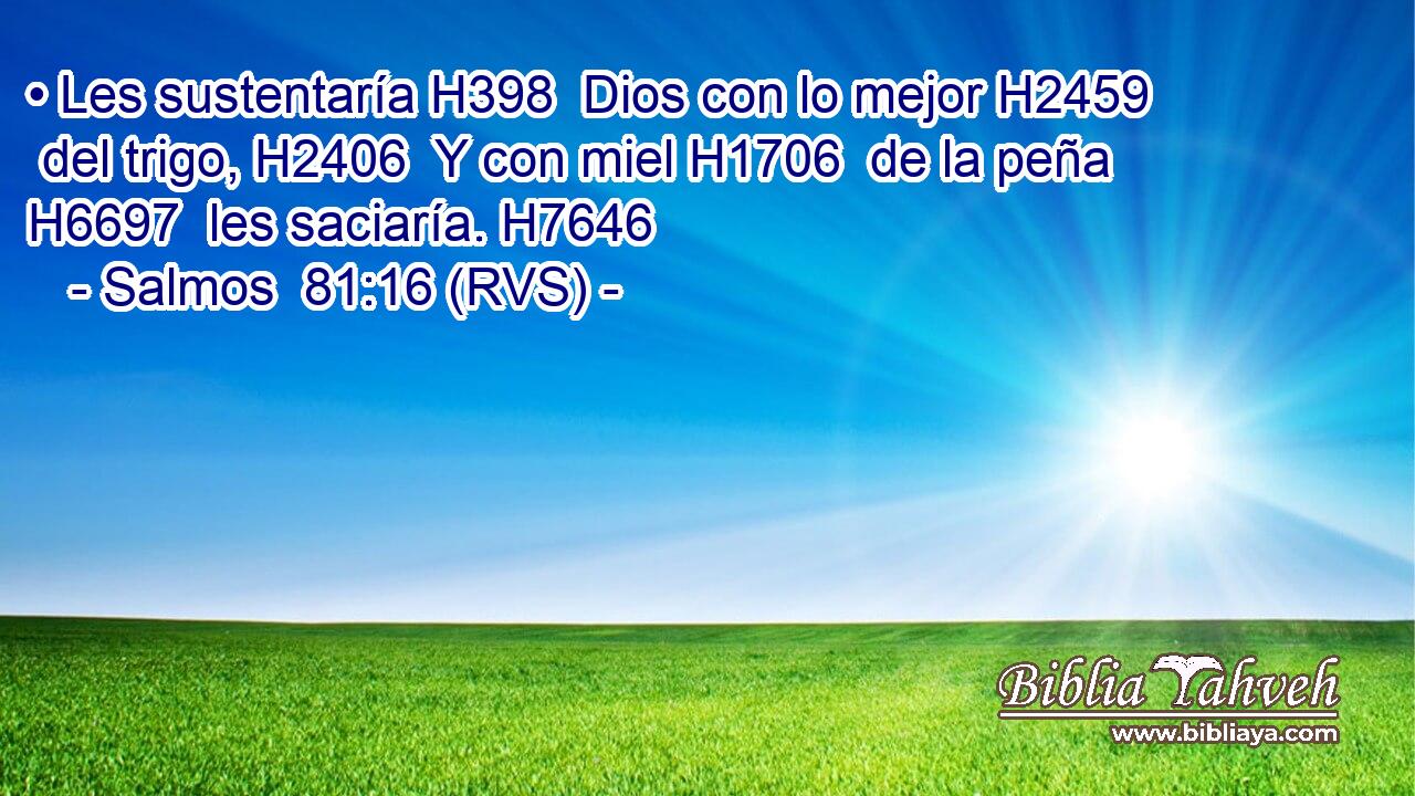 • Les sustentaría H398  Dios con lo mejor H2459  del trigo, H2406  Y con miel H1706  de la peña H6697  les saciaría. H7646  