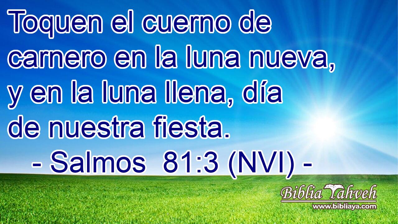  Toquen el cuerno de carnero en la luna nueva, y en la luna llena, día de nuestra fiesta. 