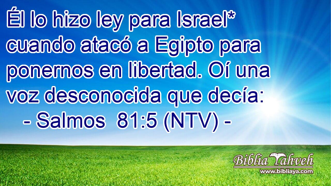 Él lo hizo ley para Israel* cuando atacó a Egipto para ponernos en libertad. Oí una voz desconocida que decía: