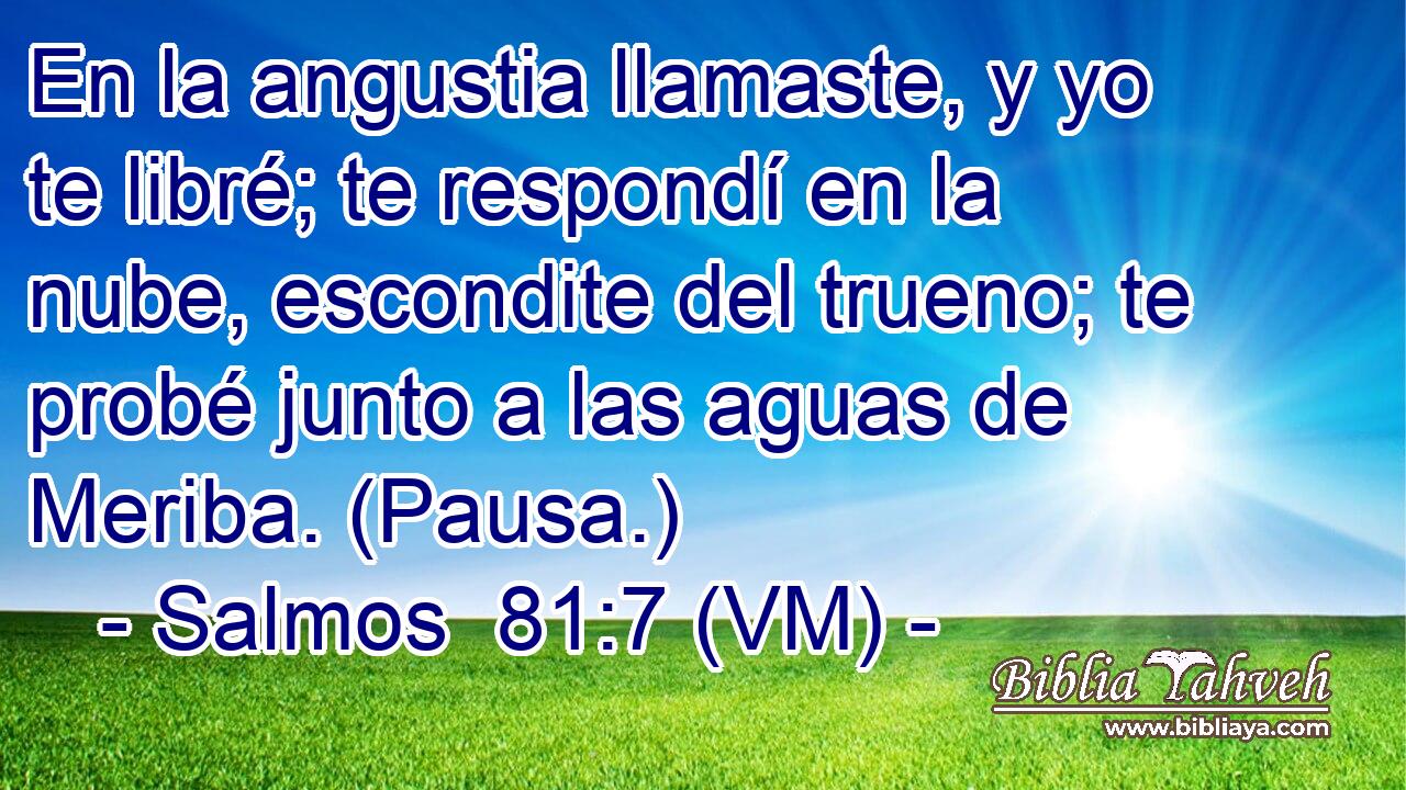  En la angustia llamaste, y yo te libré; te respondí en la nube, escondite del trueno; te probé junto a las aguas de Meriba. (Pausa.) 