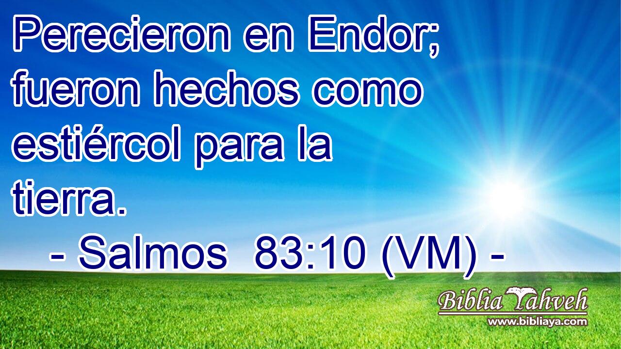  Perecieron en Endor; fueron hechos como estiércol para la tierra. 