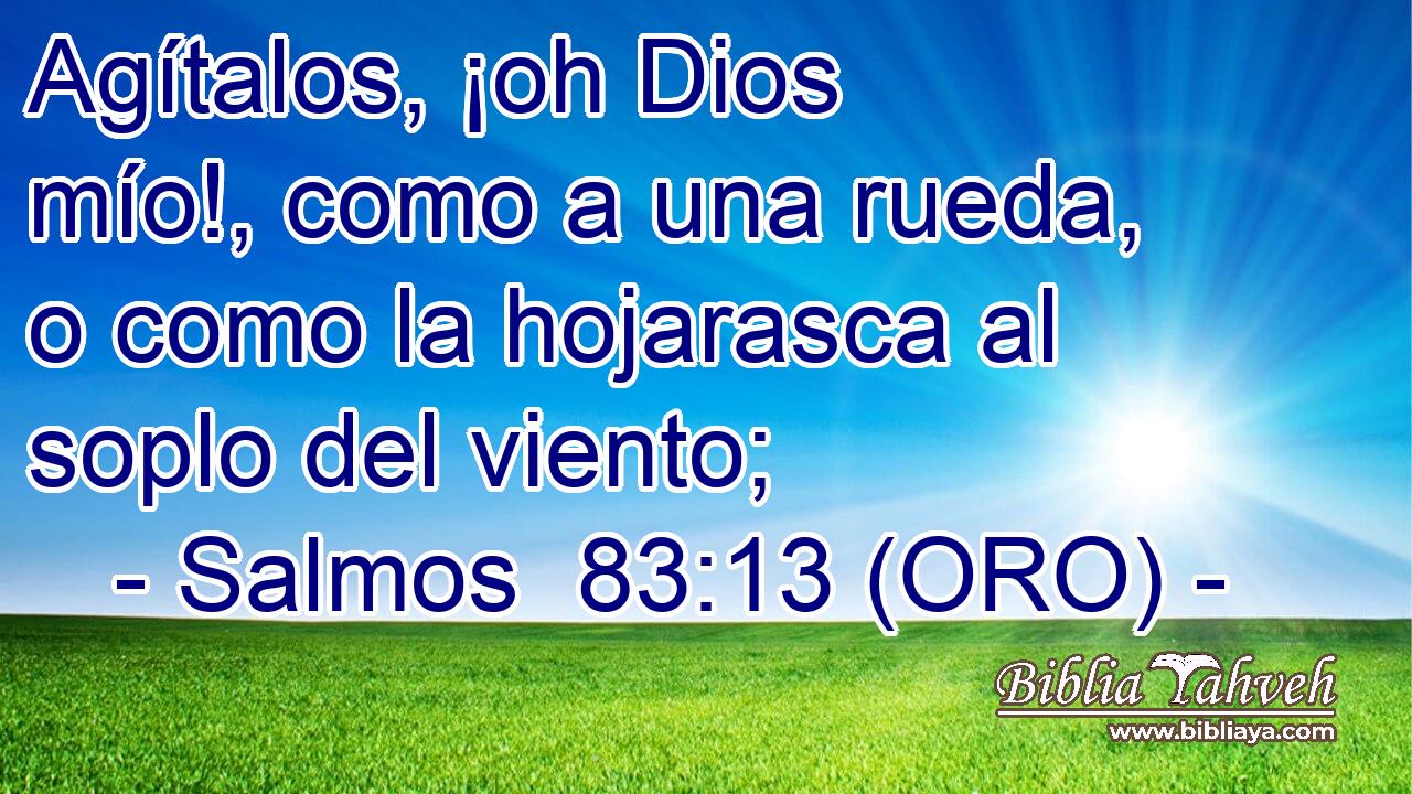  Agítalos, ¡oh Dios mío!, como a una rueda, o como la hojarasca al soplo del viento; 