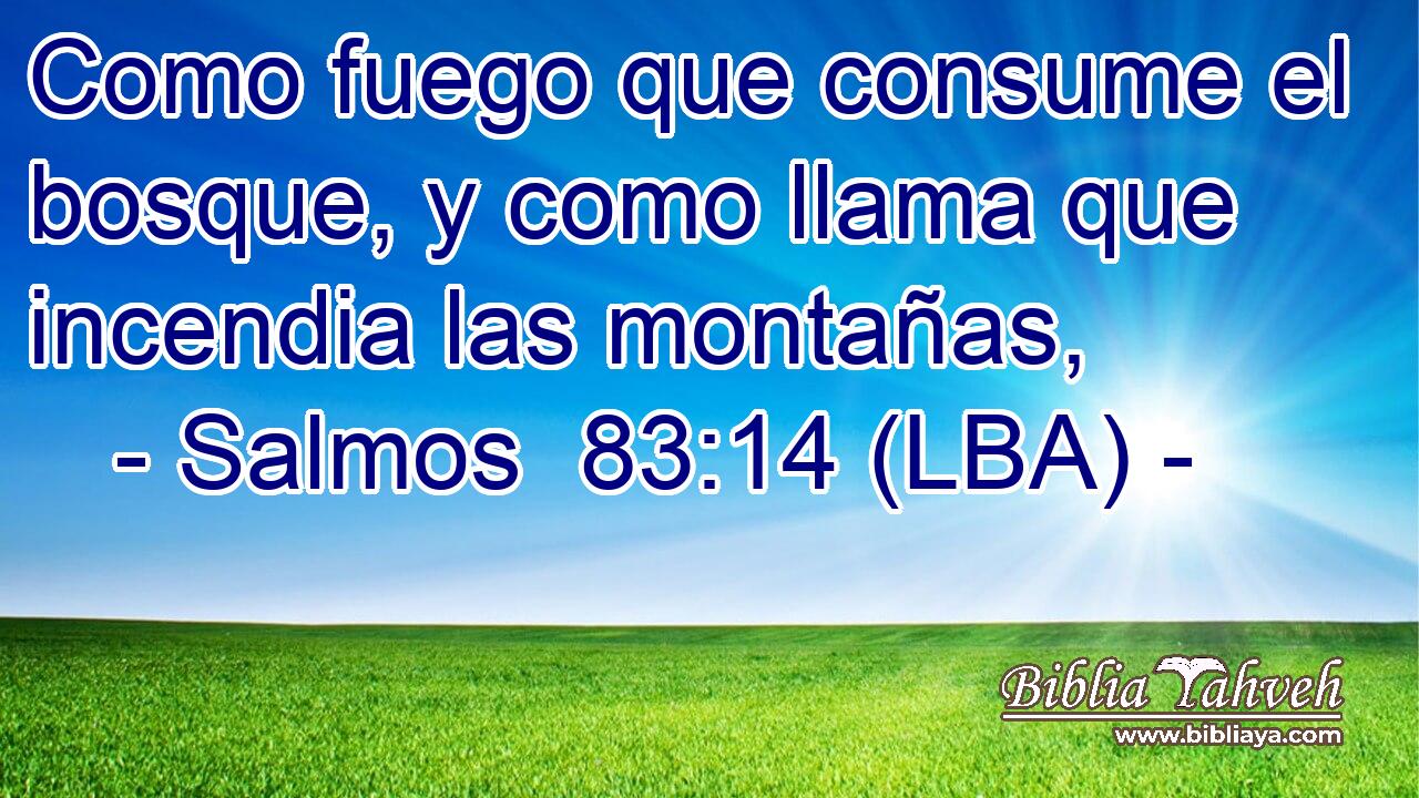 Como fuego que consume el bosque, y como llama que incendia las montañas,