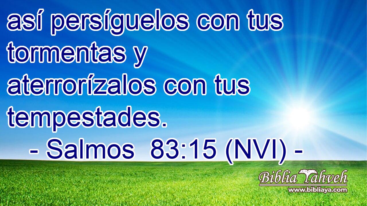  así persíguelos con tus tormentas y aterrorízalos con tus tempestades. 