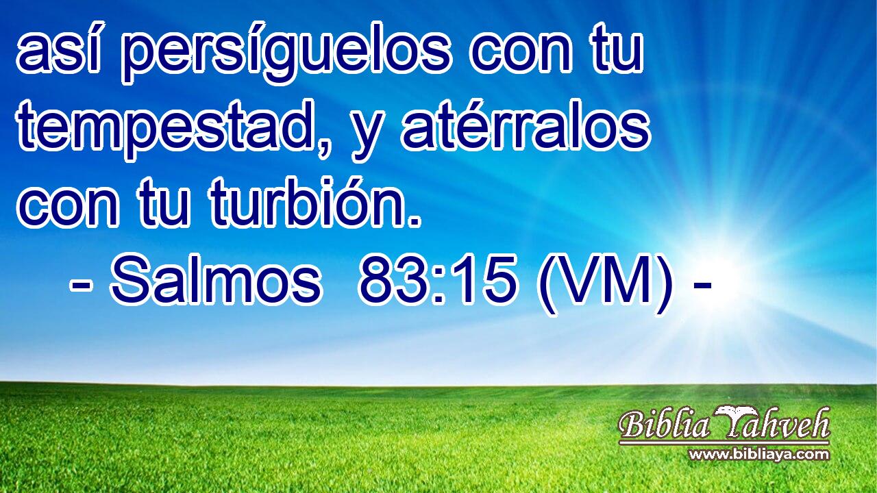  así persíguelos con tu tempestad, y atérralos con tu turbión. 