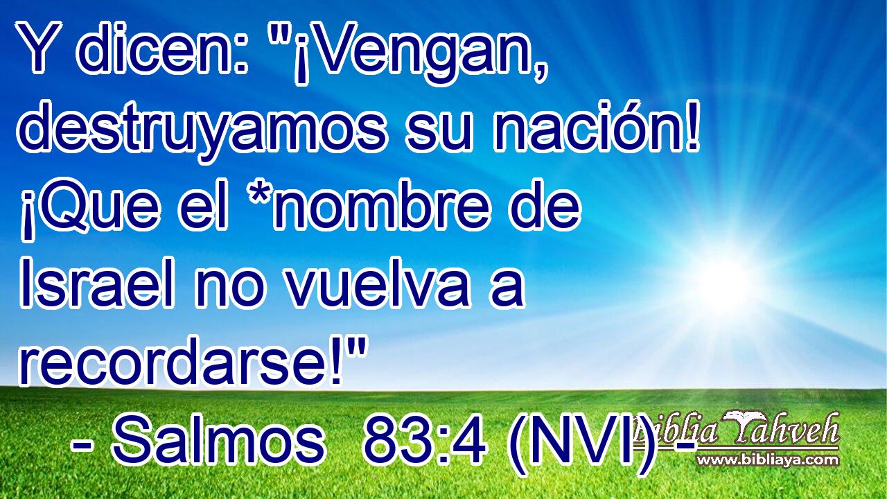  Y dicen: 