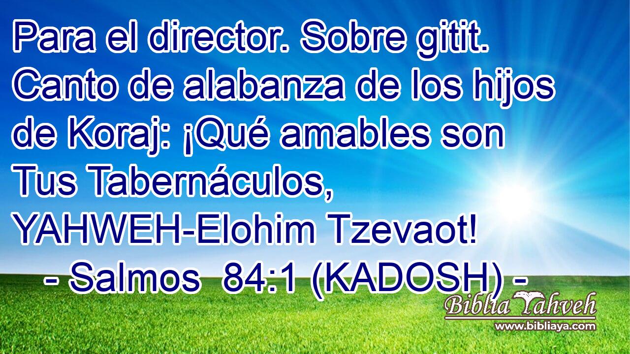  Para el director. Sobre gitit. Canto de alabanza de los hijos de Koraj: ¡Qué amables son Tus Tabernáculos, YAHWEH-Elohim Tzevaot! 