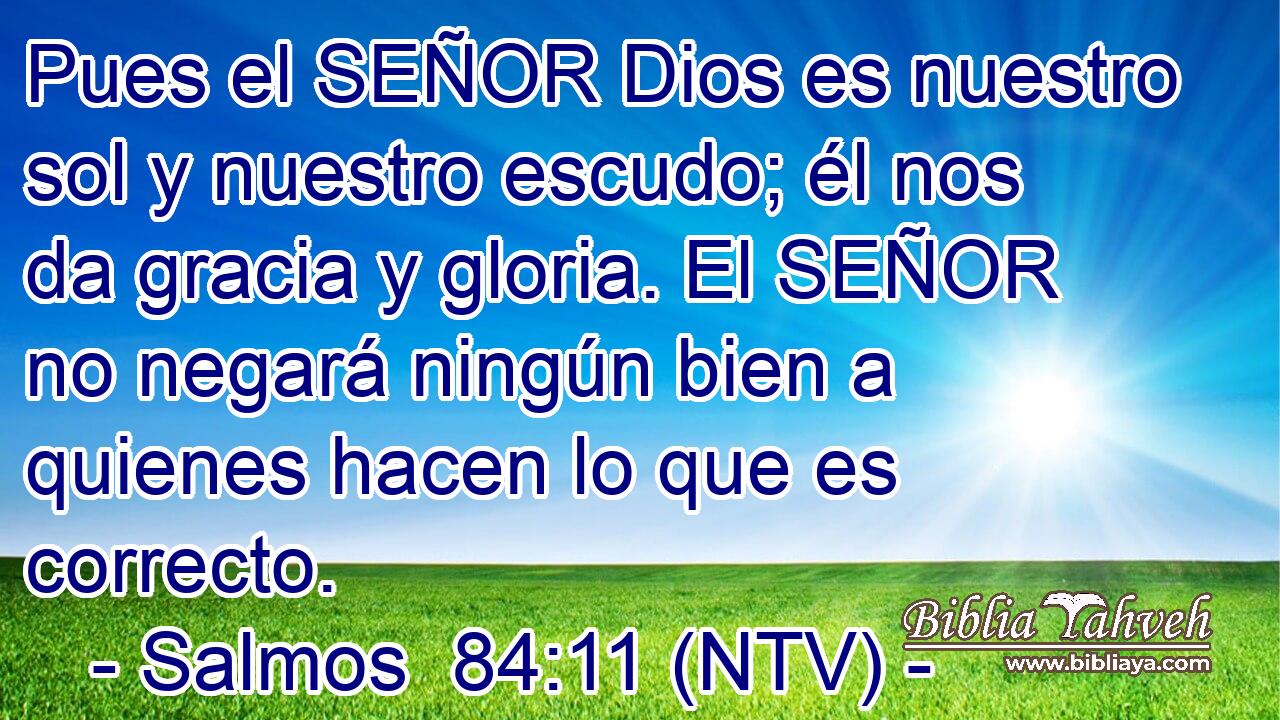 Pues el SEÑOR Dios es nuestro sol y nuestro escudo; él nos da gracia y gloria. El SEÑOR no negará ningún bien a quienes hacen lo que es correcto.