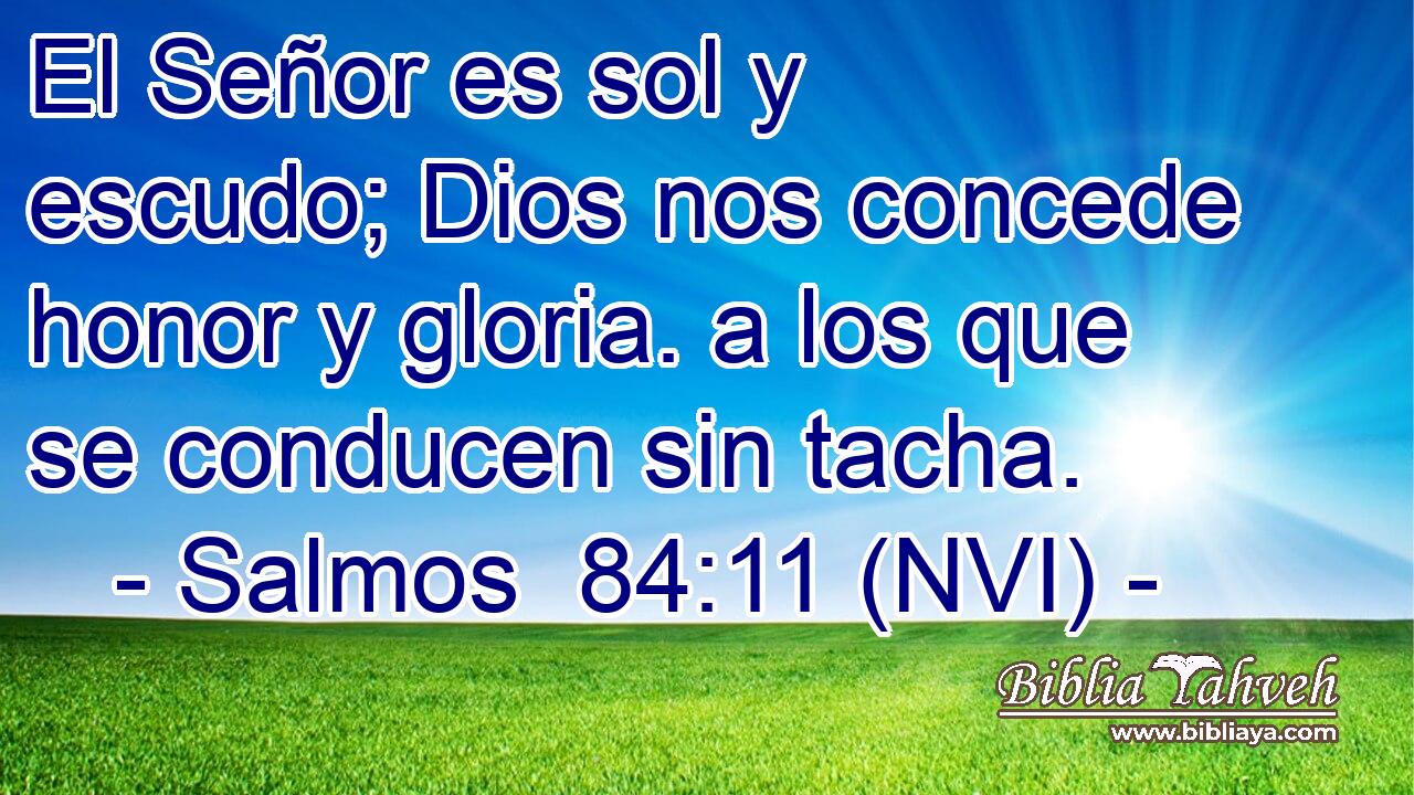  El Señor es sol y escudo; Dios nos concede honor y gloria. a los que se conducen sin tacha. 