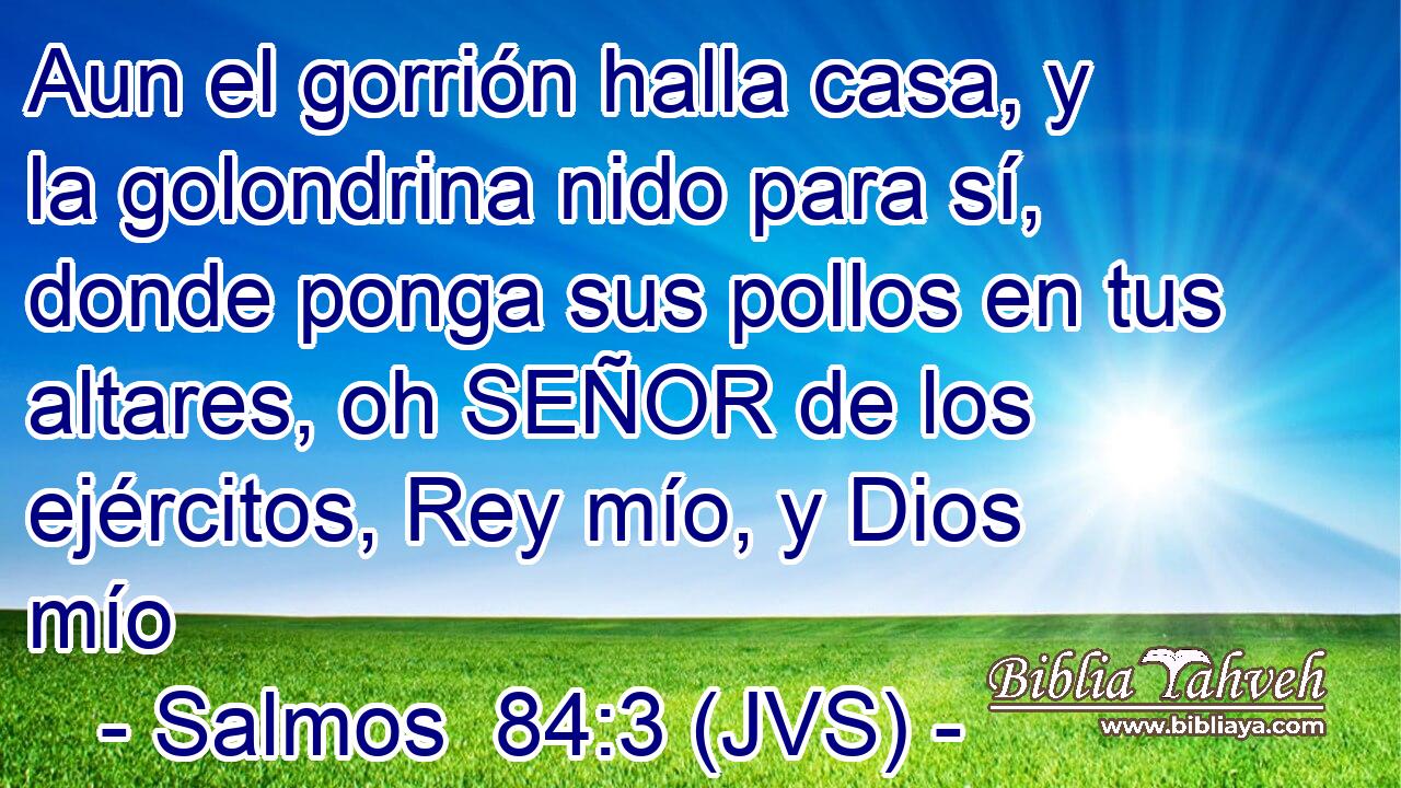 Aun el gorrión halla casa, y la golondrina nido para sí, donde ponga sus pollos en tus altares, oh SEÑOR de los ejércitos, Rey mío, y Dios mío