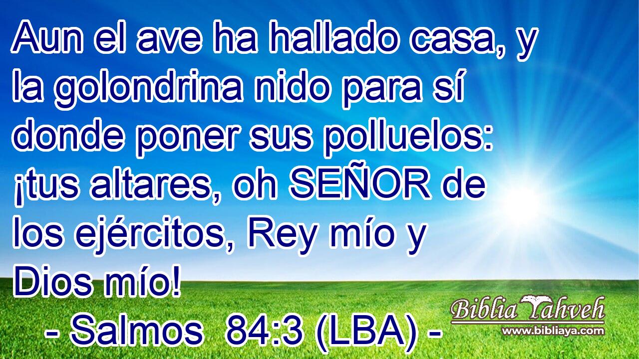 Aun el ave ha hallado casa, y la golondrina nido para sí donde poner sus polluelos: ¡tus altares, oh SEÑOR de los ejércitos, Rey mío y Dios mío!