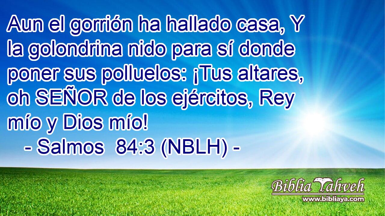  Aun el gorrión ha hallado casa, Y la golondrina nido para sí donde poner sus polluelos: ¡Tus altares, oh SEÑOR de los ejércitos, Rey mío y Dios mío! 