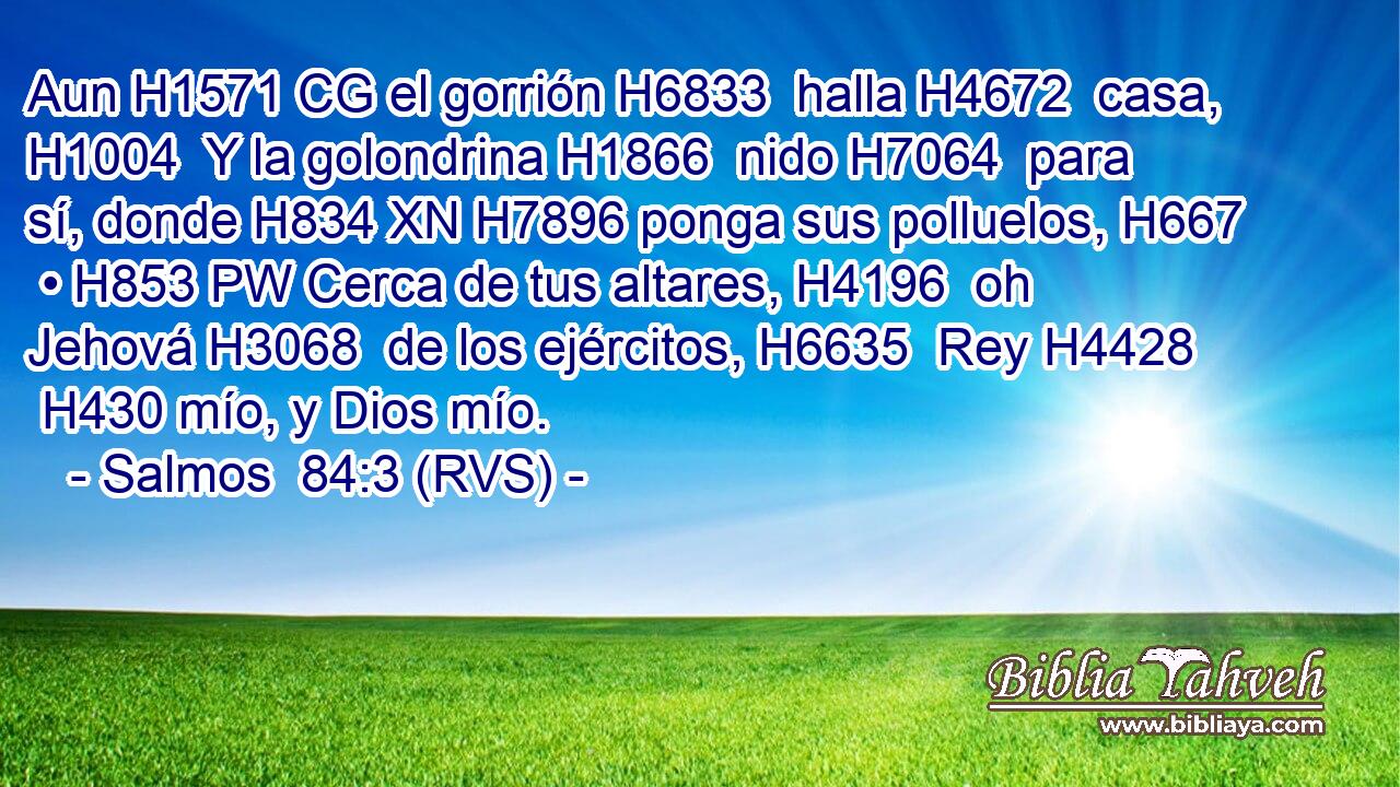 Aun H1571 CG el gorrión H6833  halla H4672  casa, H1004  Y la golondrina H1866  nido H7064  para sí, donde H834 XN H7896 ponga sus polluelos, H667  • H853 PW Cerca de tus altares, H4196  oh Jehová H3068  de los ejércitos, H6635  Rey H4428  H430 mío, y Dios mío. 