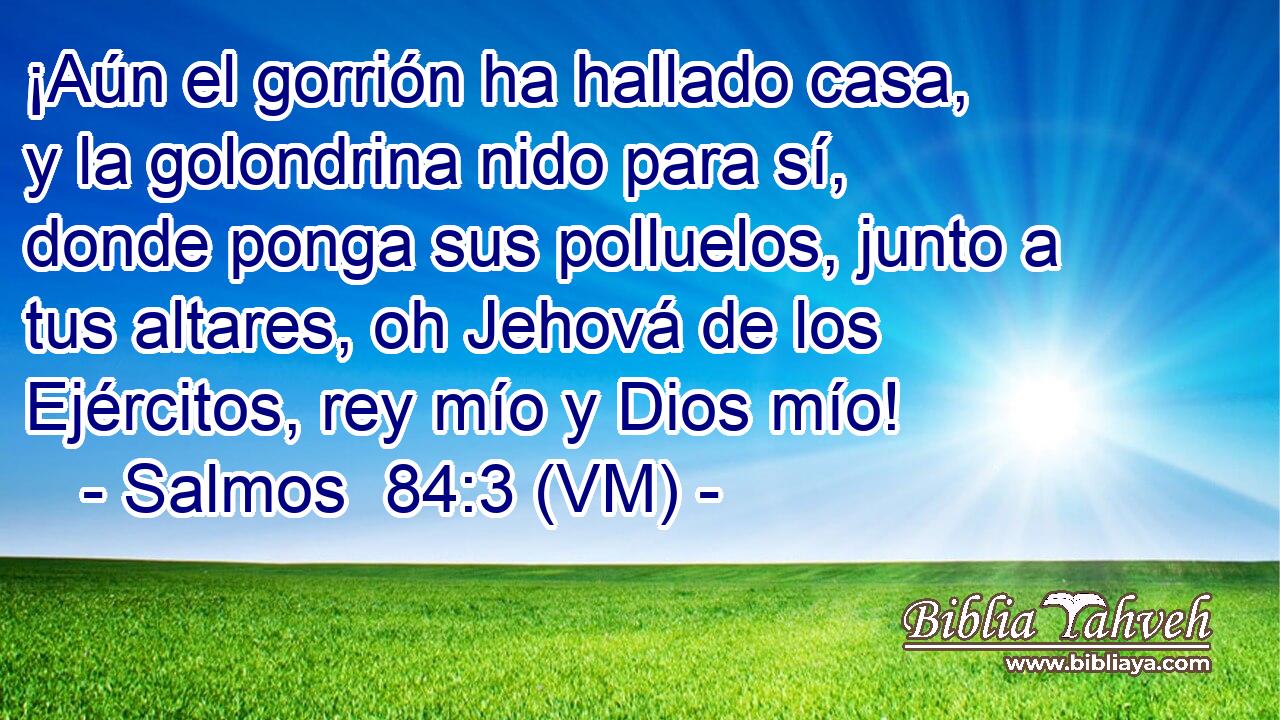  ¡Aún el gorrión ha hallado casa, y la golondrina nido para sí, donde ponga sus polluelos, junto a tus altares, oh Jehová de los Ejércitos, rey mío y Dios mío! 