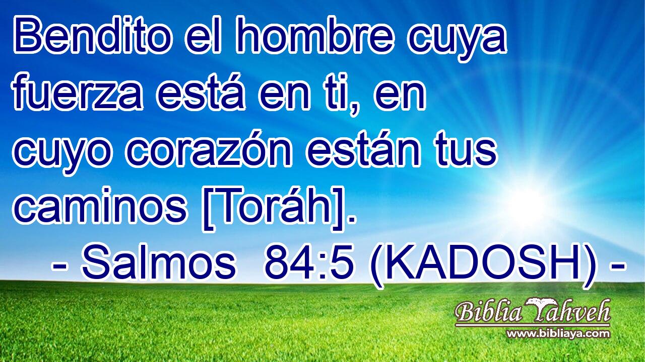  Bendito el hombre cuya fuerza está en ti, en cuyo corazón están tus caminos [Toráh]. 
