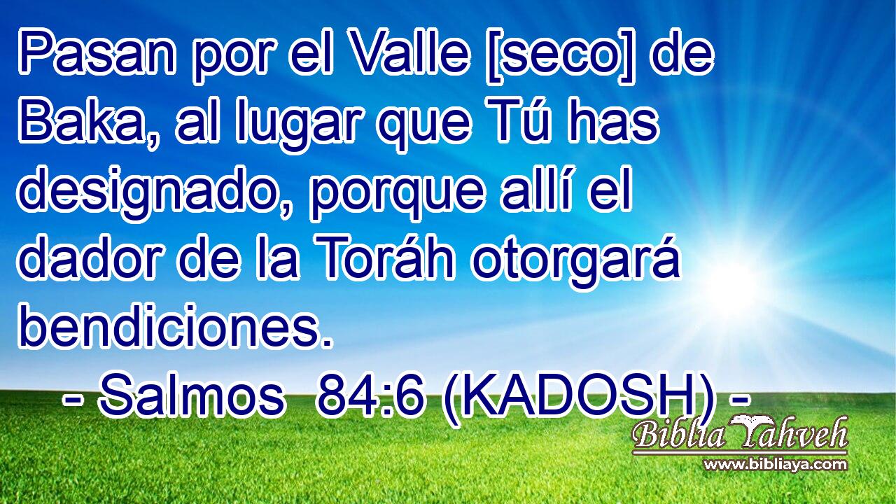  Pasan por el Valle [seco] de Baka, al lugar que Tú has designado, porque allí el dador de la Toráh otorgará bendiciones. 