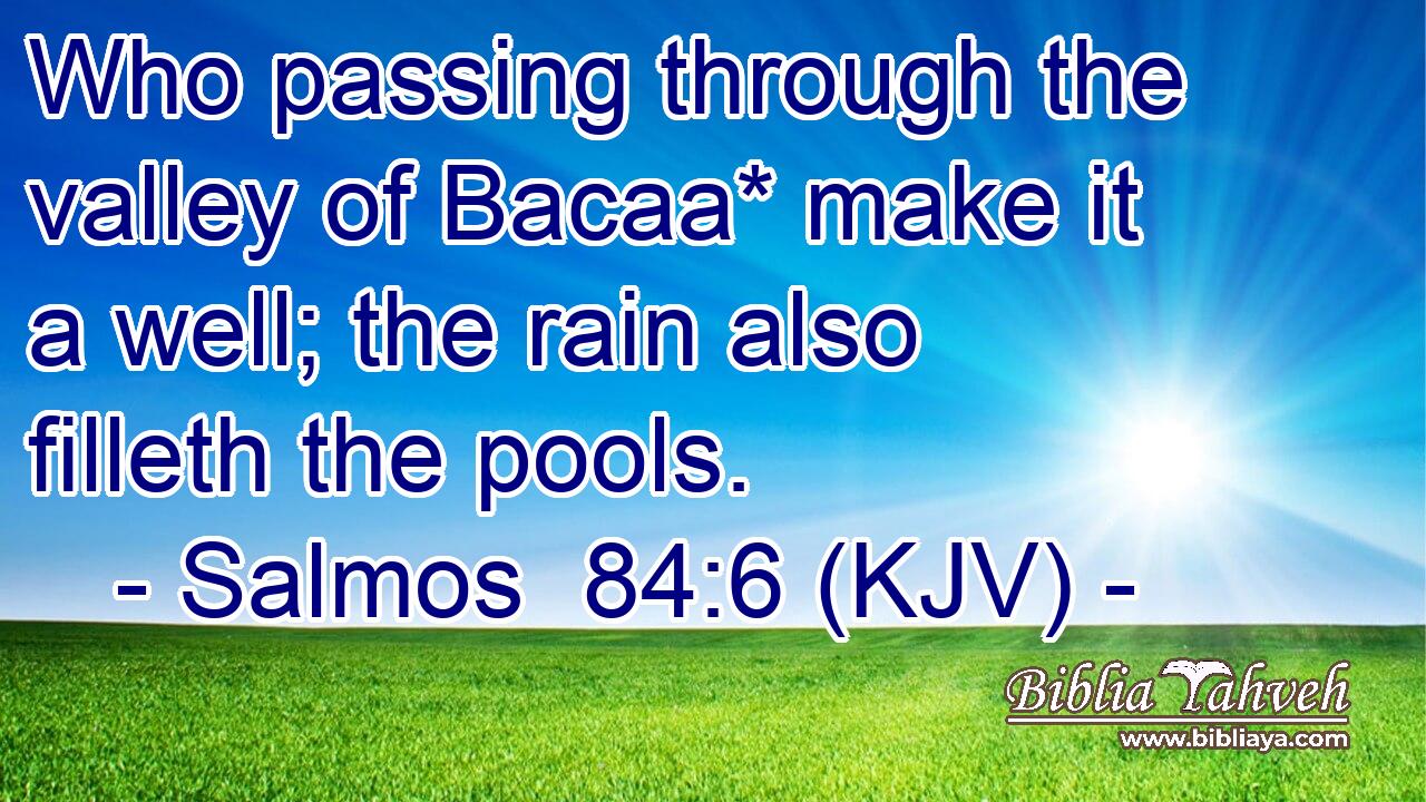 Who passing through the valley of Bacaa* make it a well; the rain also filleth the pools.