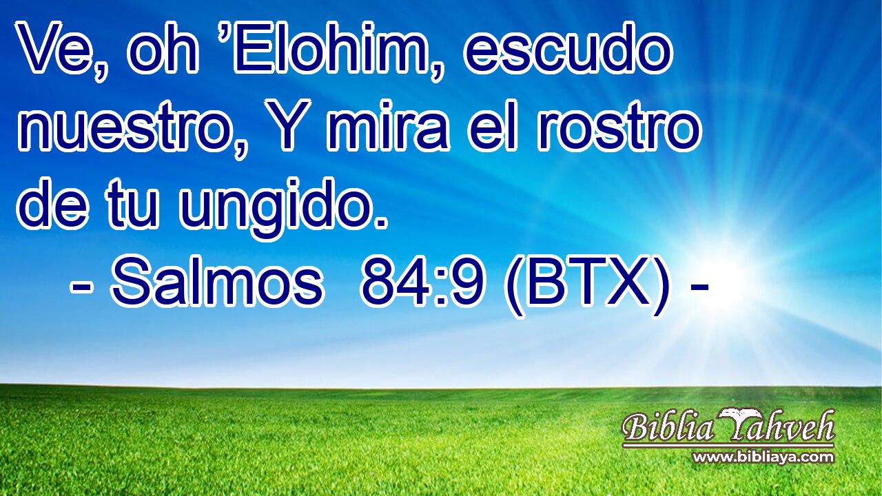 Salmos 849 Btx Ve Oh Elohim Escudo Nuestro Y Mira El R 8103