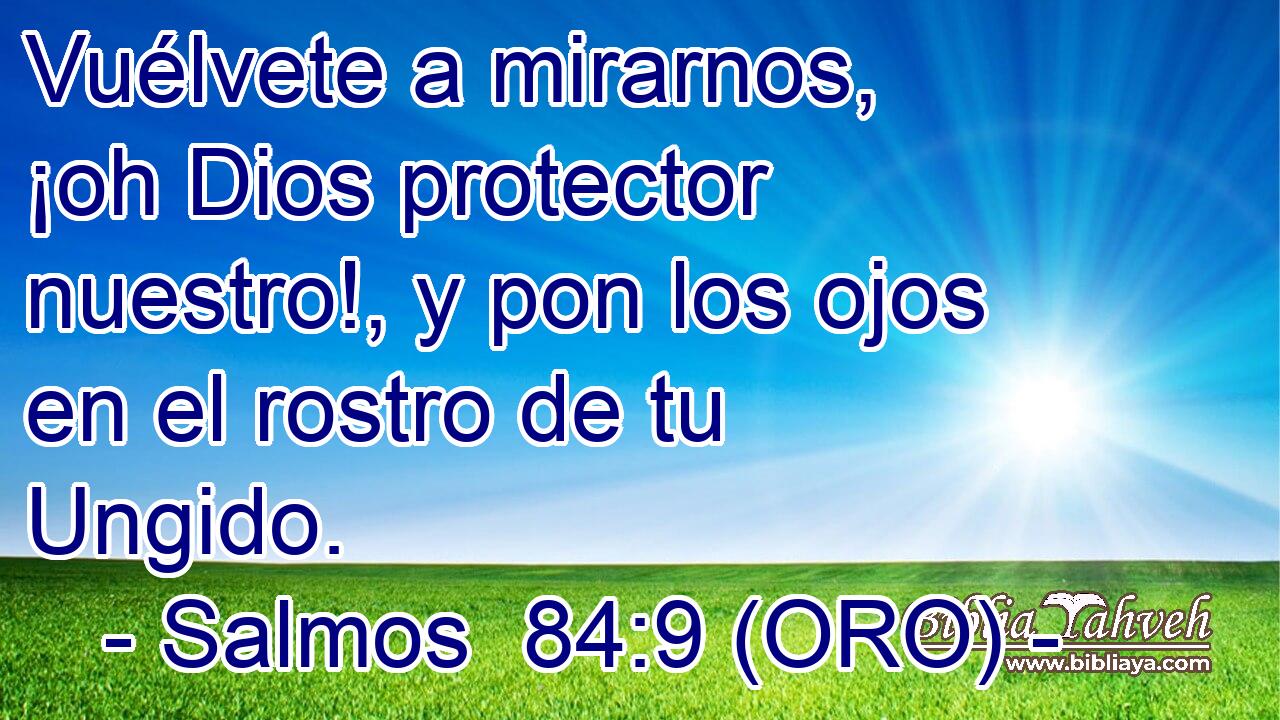  Vuélvete a mirarnos, ¡oh Dios protector nuestro!, y pon los ojos en el rostro de tu Ungido. 