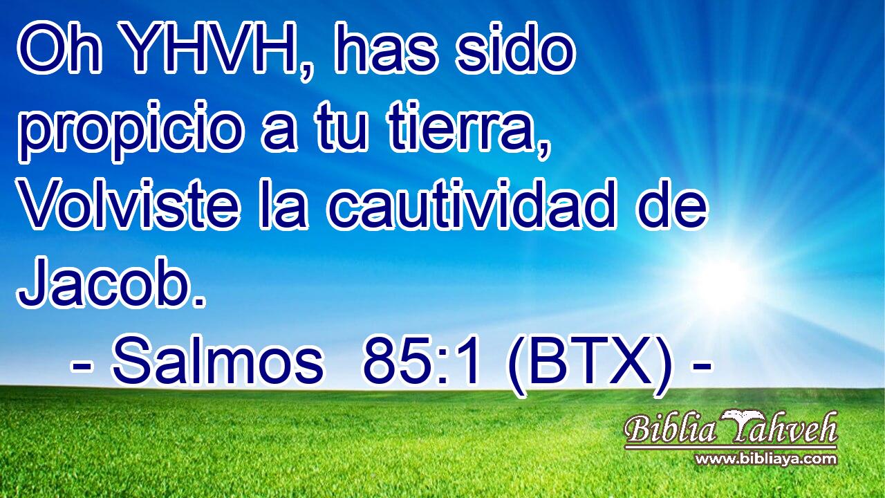 Oh YHVH, has sido propicio a tu tierra, Volviste la cautividad de Jacob.