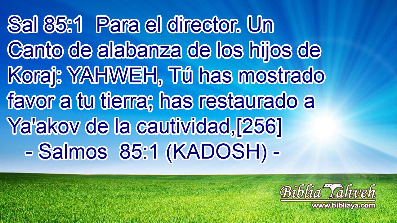  Para el director. Un Canto de alabanza de los hijos de Koraj: YAHWEH, Tú has mostrado favor a tu tierra; has restaurado a Ya'akov de la cautividad,[256] 