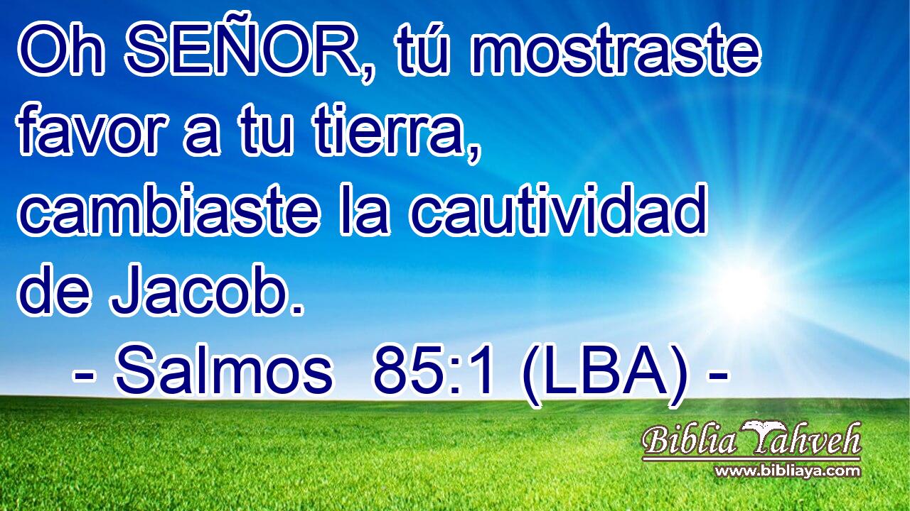 Oh SEÑOR, tú mostraste favor a tu tierra, cambiaste la cautividad de Jacob.