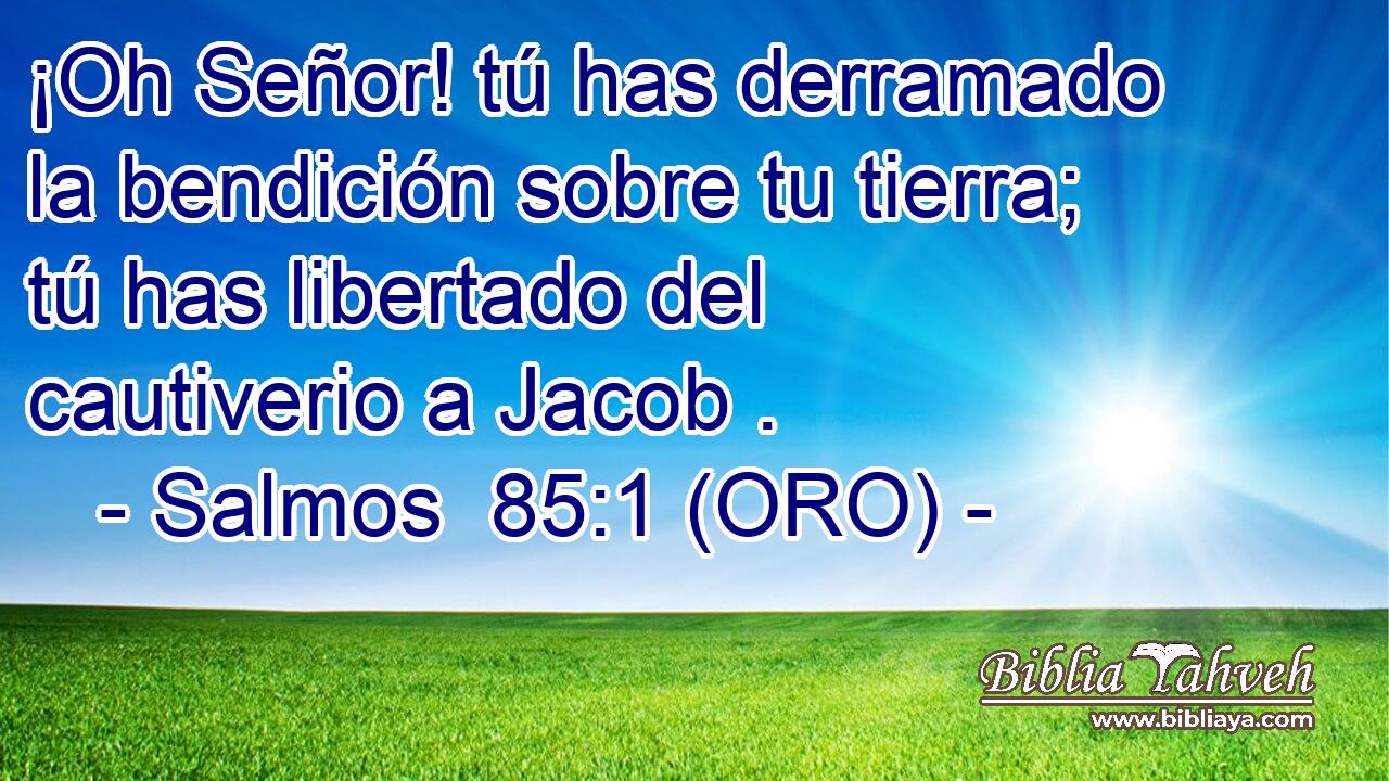  ¡Oh Señor! tú has derramado la bendición sobre tu tierra; tú has libertado del cautiverio a Jacob . 