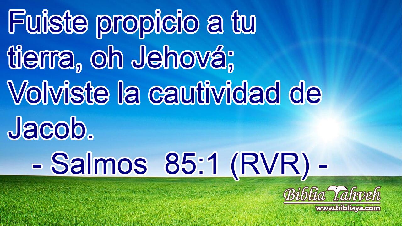 Fuiste propicio a tu tierra, oh Jehová; Volviste la cautividad de Jacob.