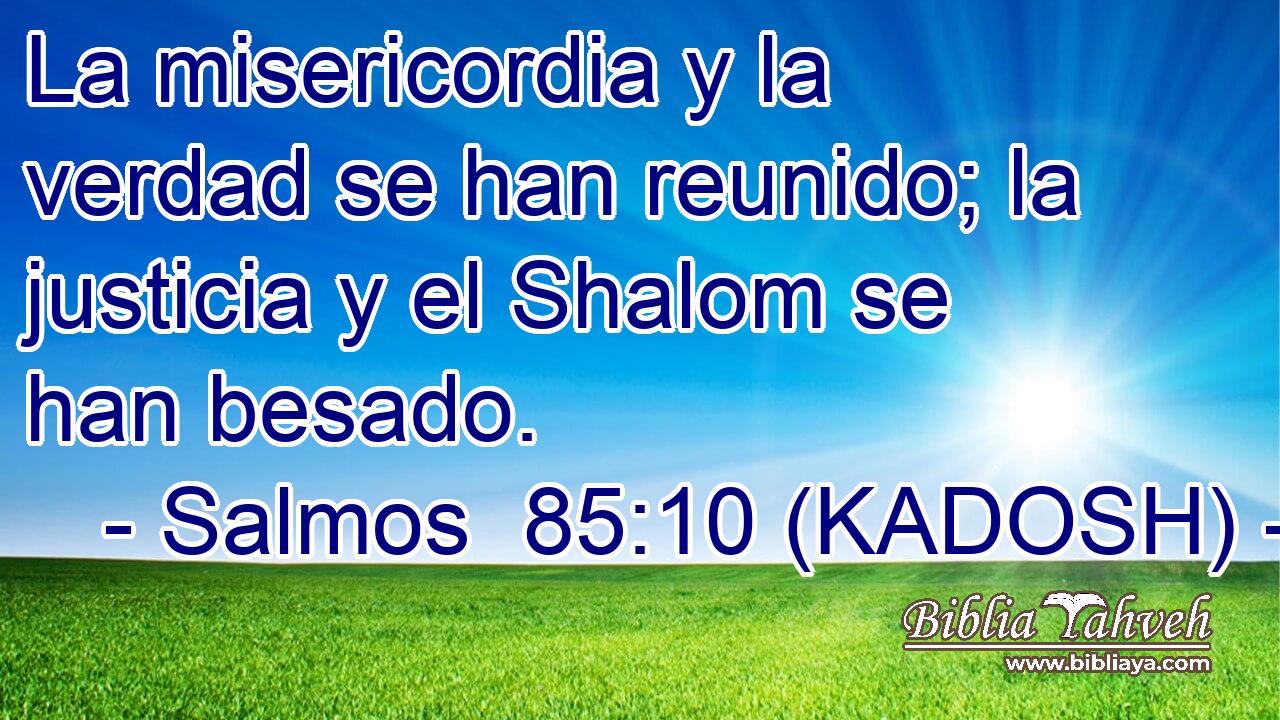  La misericordia y la verdad se han reunido; la justicia y el Shalom se han besado. 
