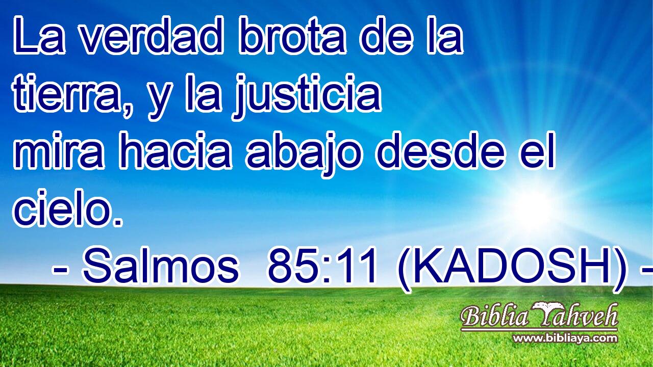  La verdad brota de la tierra, y la justicia mira hacia abajo desde el cielo. 