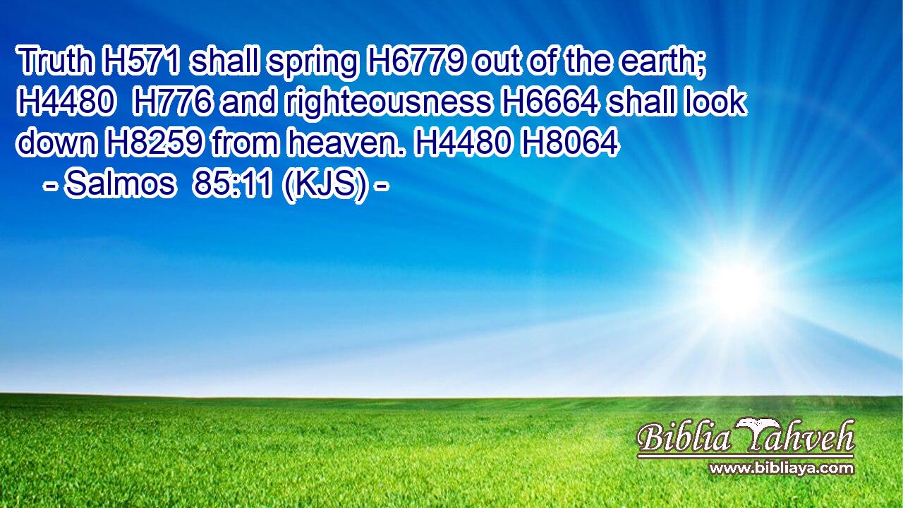 Truth H571 shall spring H6779 out of the earth; H4480  H776 and righteousness H6664 shall look down H8259 from heaven. H4480 H8064