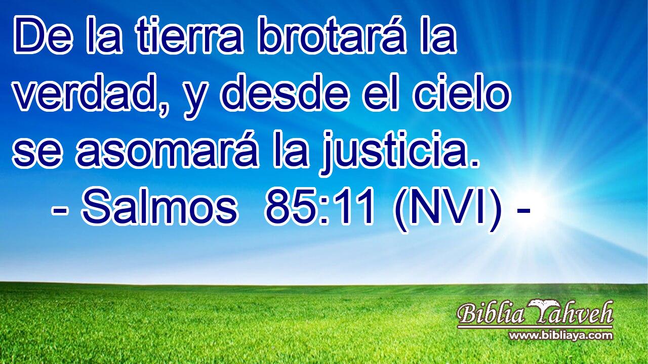  De la tierra brotará la verdad, y desde el cielo se asomará la justicia. 