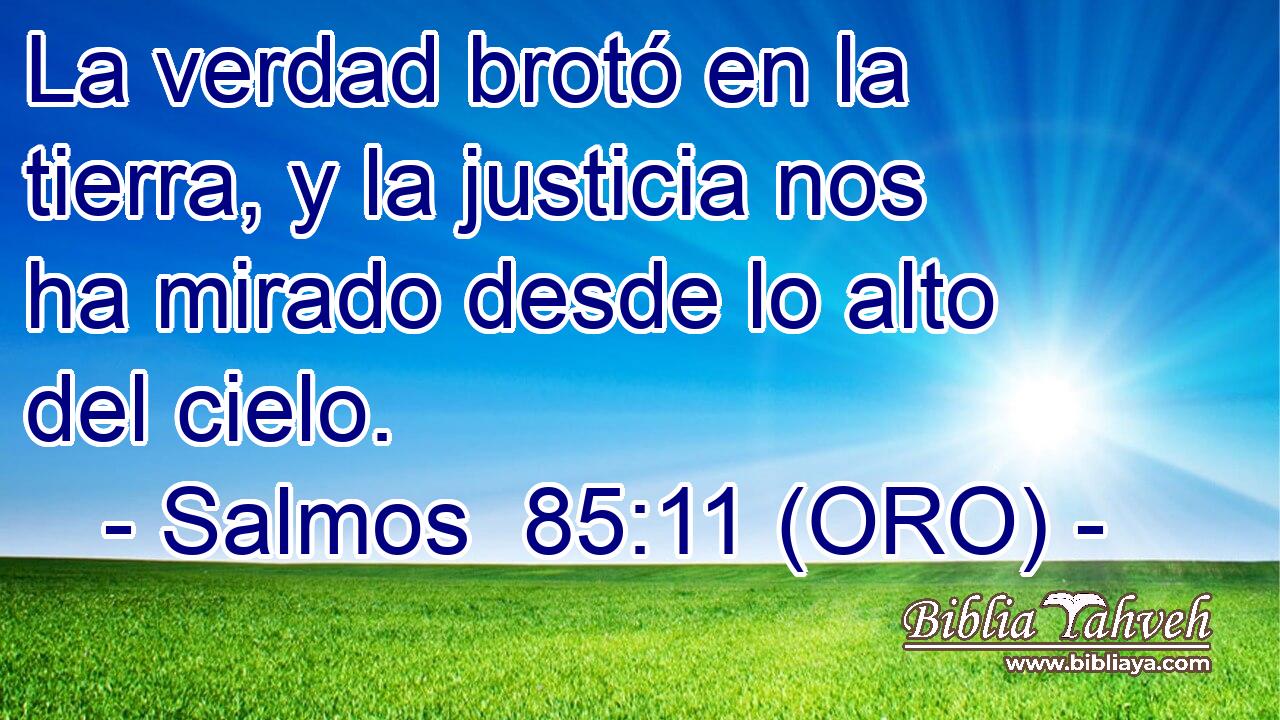  La verdad brotó en la tierra, y la justicia nos ha mirado desde lo alto del cielo. 