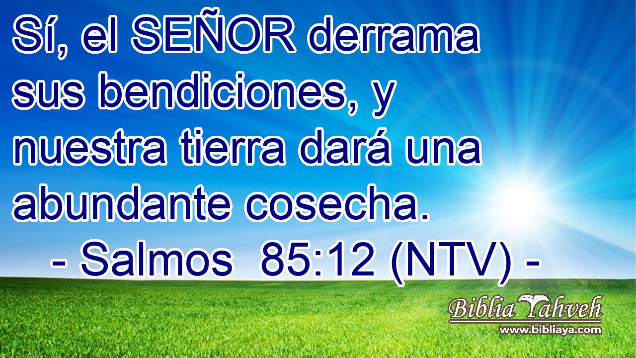 Sí, el SEÑOR derrama sus bendiciones, y nuestra tierra dará una abundante cosecha.