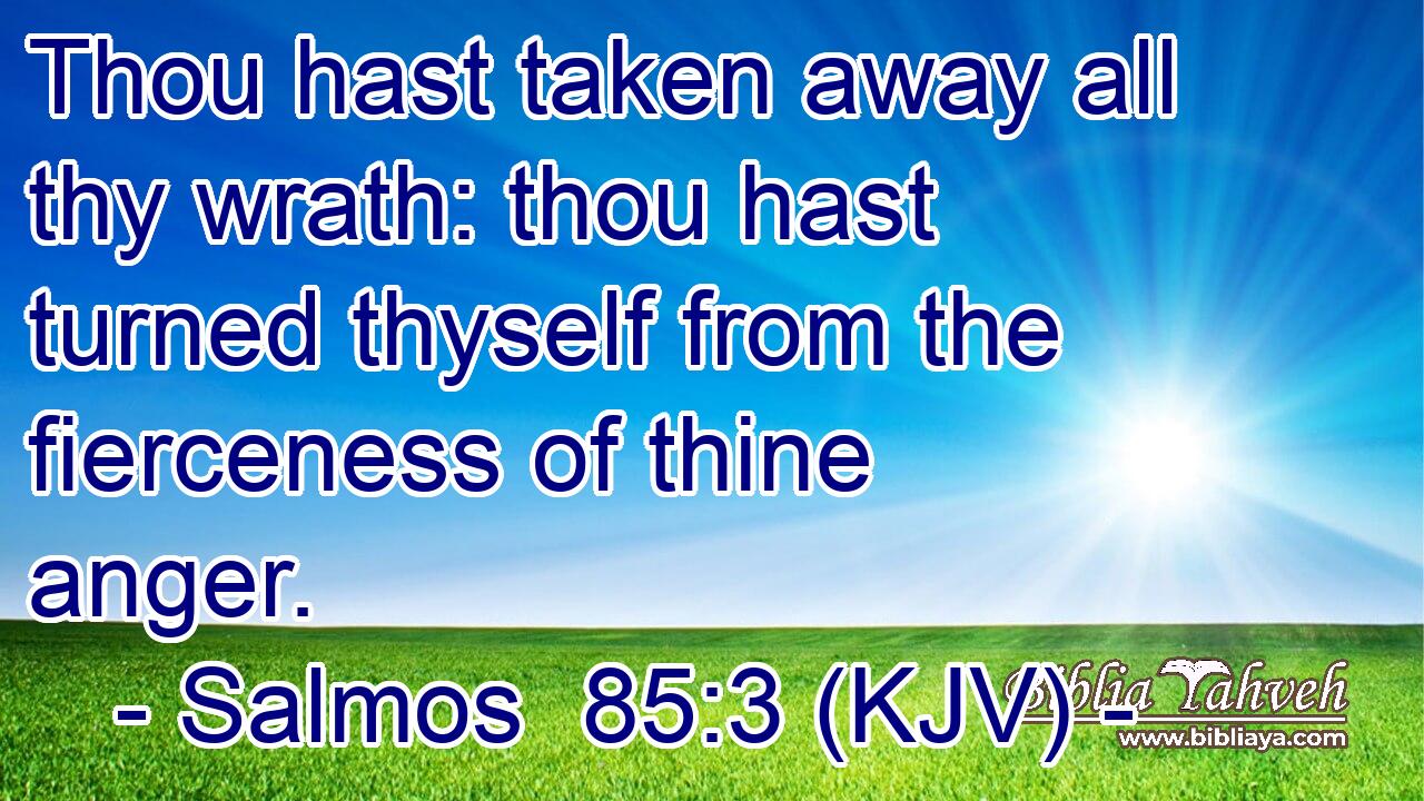 Thou hast taken away all thy wrath: thou hast turned thyself from the fierceness of thine anger.