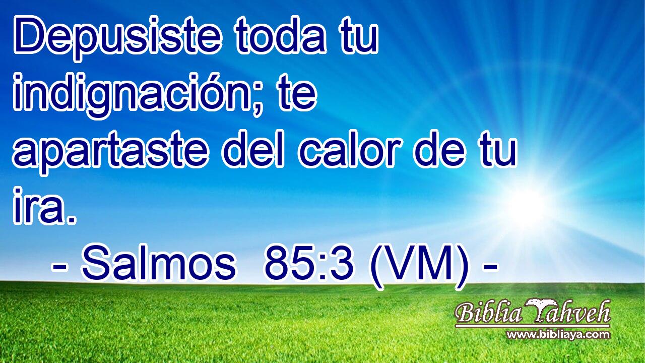  Depusiste toda tu indignación; te apartaste del calor de tu ira. 