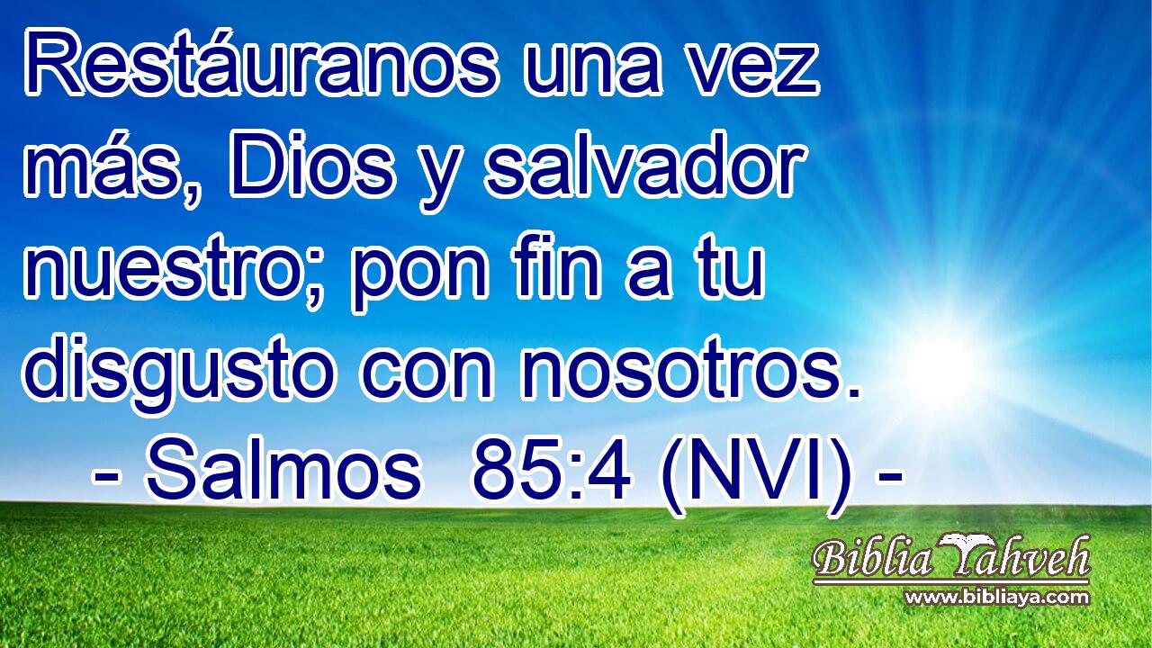  Restáuranos una vez más, Dios y salvador nuestro; pon fin a tu disgusto con nosotros. 