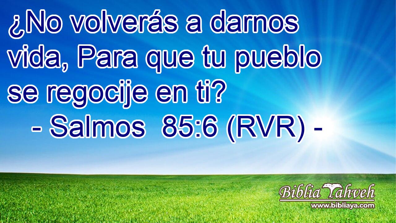 ¿No volverás a darnos vida, Para que tu pueblo se regocije en ti?
