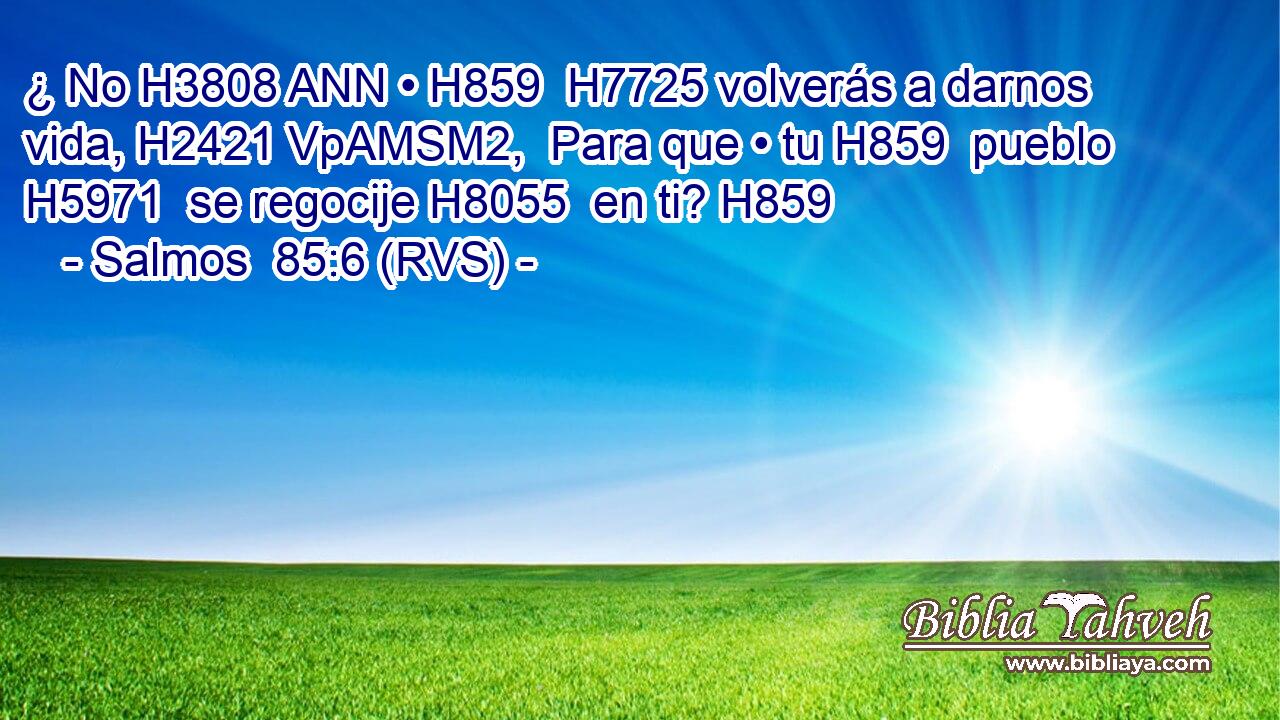 ¿ No H3808 ANN • H859  H7725 volverás a darnos vida, H2421 VpAMSM2,  Para que • tu H859  pueblo H5971  se regocije H8055  en ti? H859  