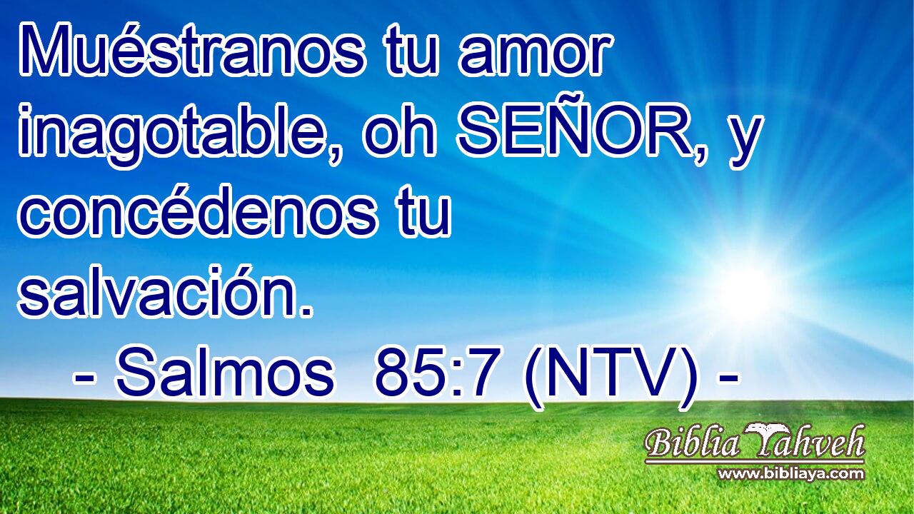Muéstranos tu amor inagotable, oh SEÑOR, y concédenos tu salvación.
