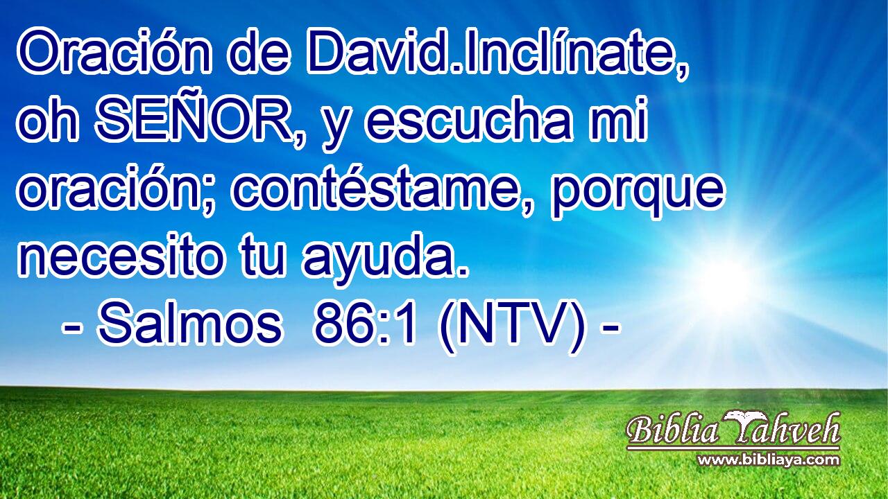 Oración de David.Inclínate, oh SEÑOR, y escucha mi oración; contéstame, porque necesito tu ayuda.