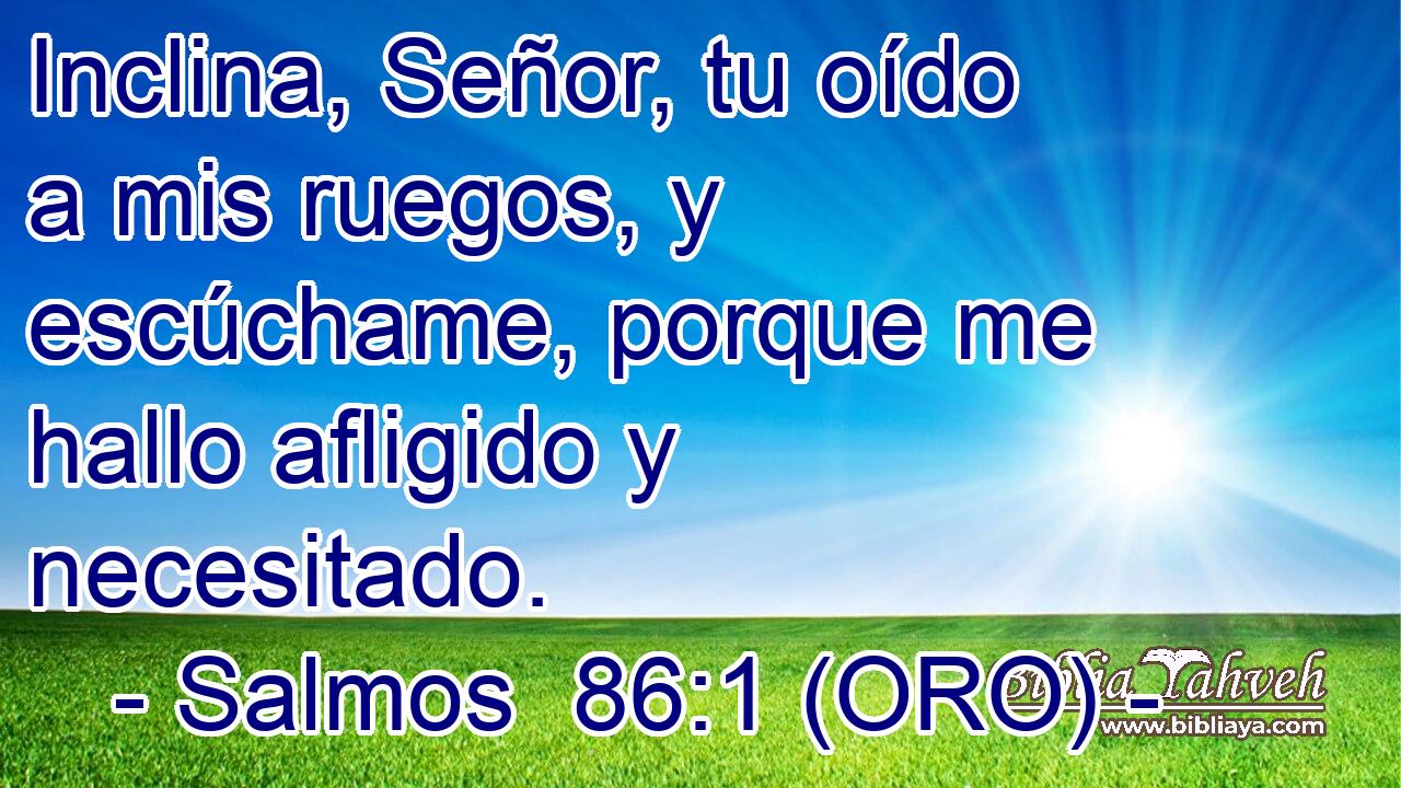  Inclina, Señor, tu oído a mis ruegos, y escúchame, porque me hallo afligido y necesitado. 
