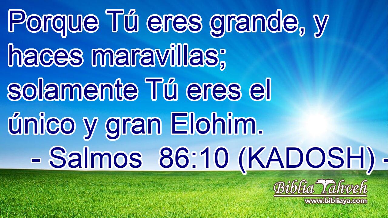  Porque Tú eres grande, y haces maravillas; solamente Tú eres el único y gran Elohim. 