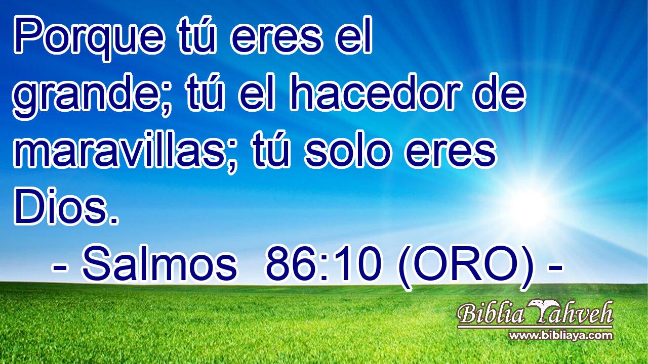  Porque tú eres el grande; tú el hacedor de maravillas; tú solo eres Dios. 